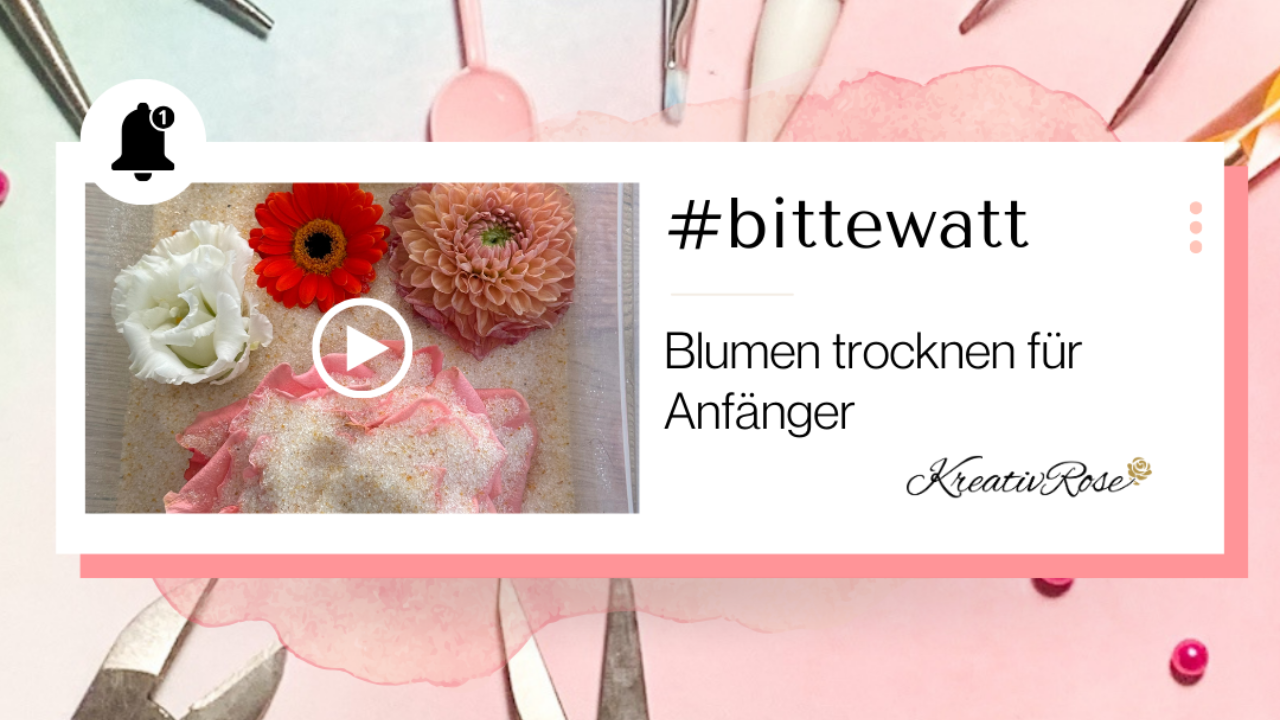 Video laden: Blumen trocknen für Anfänger (Shorts)